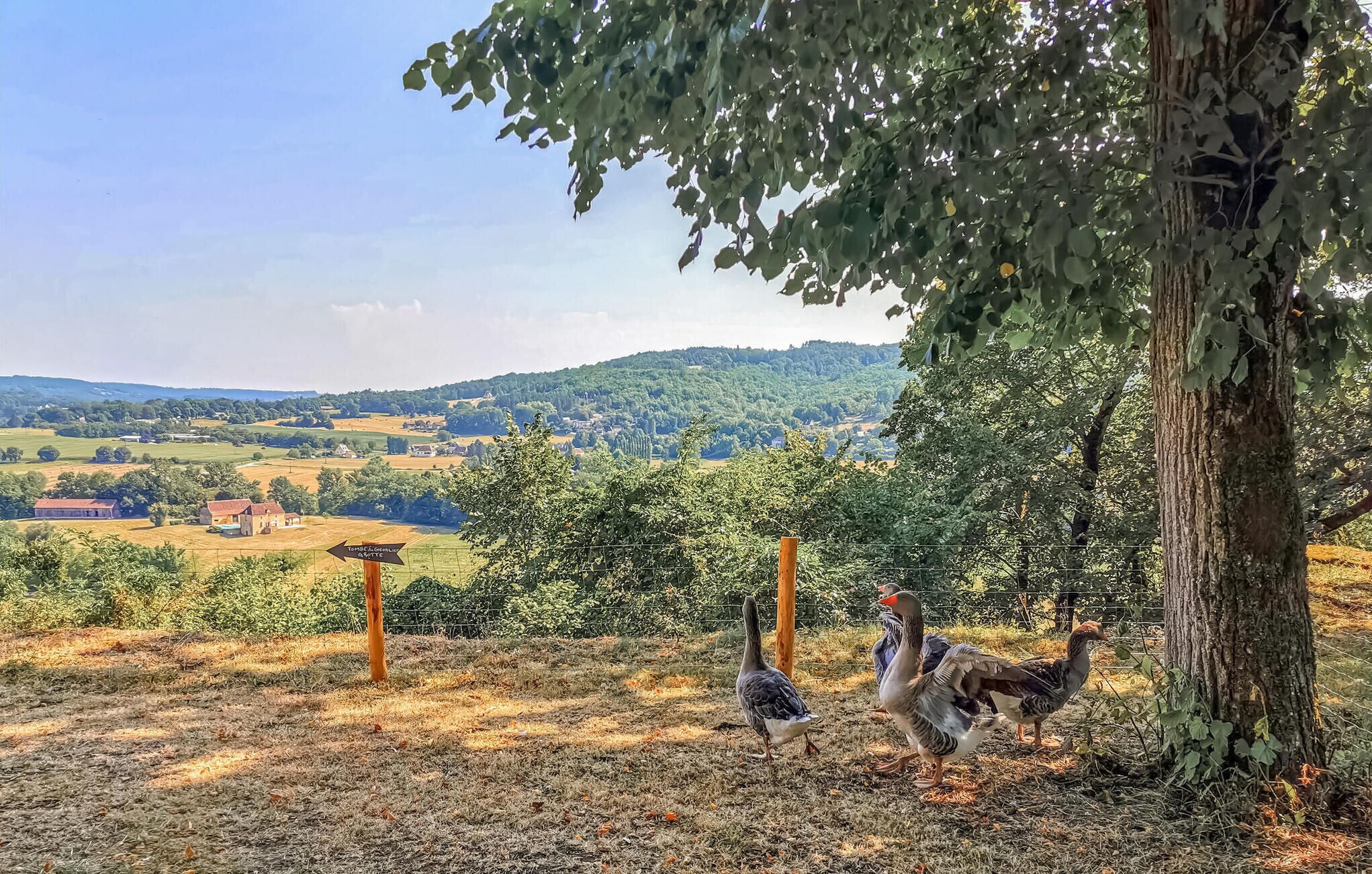 Un paisaje rural con vista a un valle, un cartel de madera y un árbol.