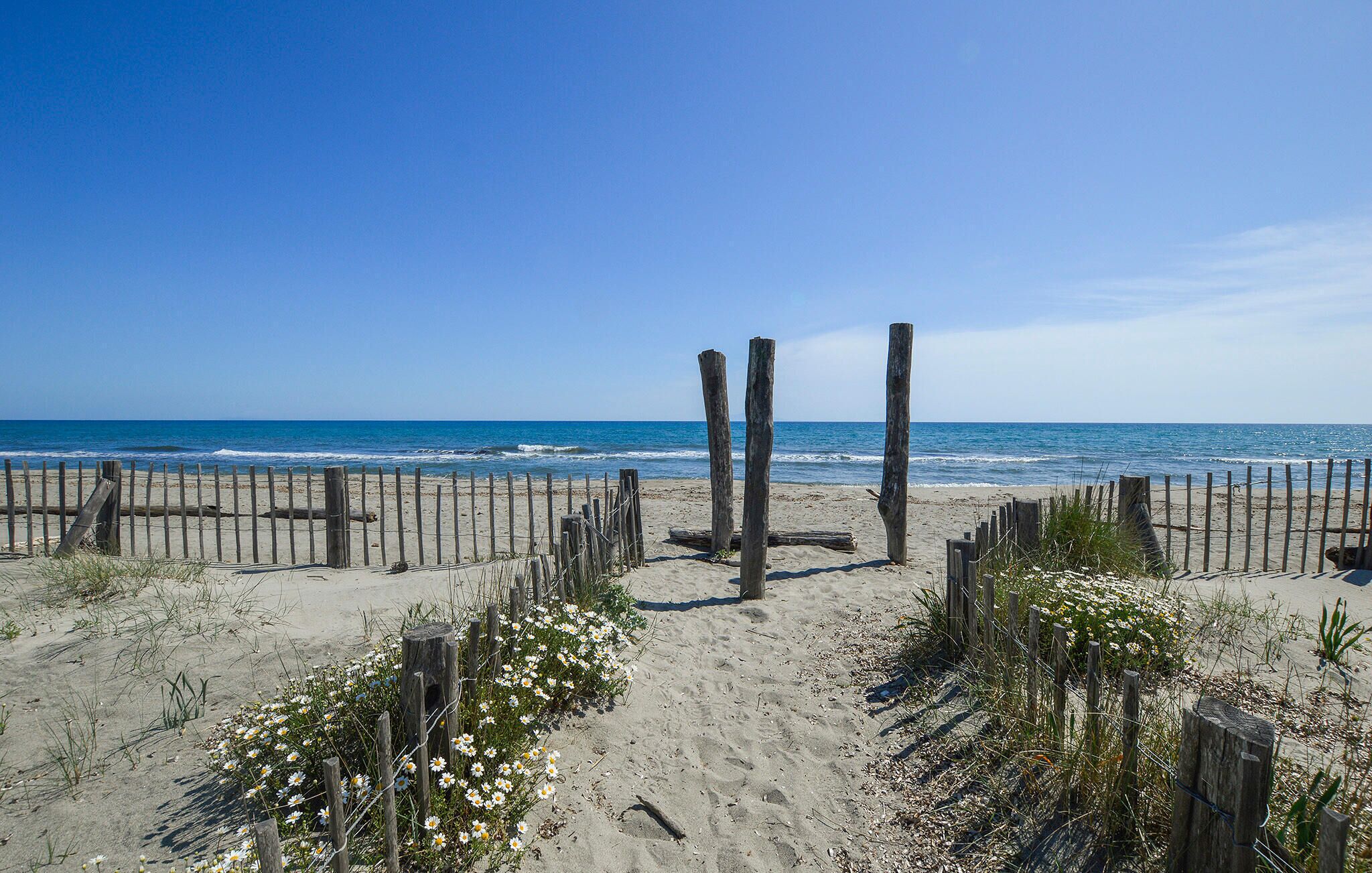 ビーチの近く、釣り
