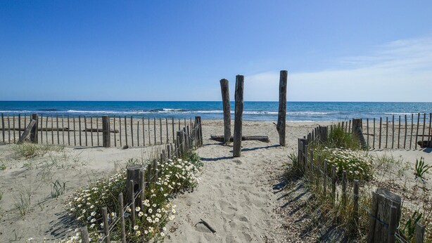 A sandy beach with wooden posts and a fence, leading to the ocean. - 1 bedroom nice apartment in Bastia (Bastia)