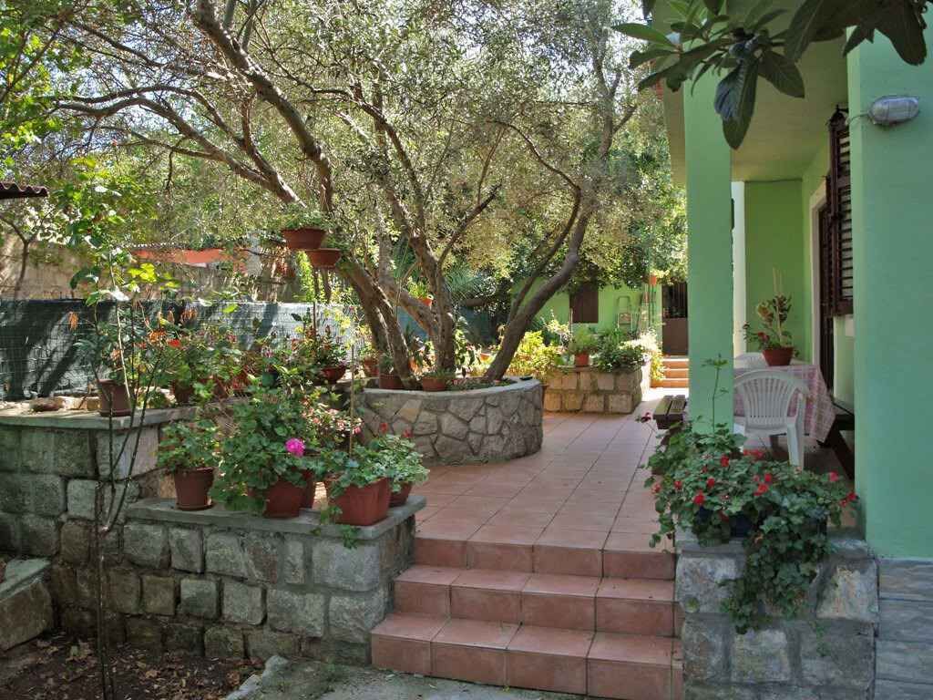Un pati amb escales de pedra que condueixen a un edifici verd, envoltat de plantes en testos i arbres.