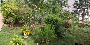 Property grounds - Holiday apartment with large terrace and beautiful garden (Veli Lošinj)