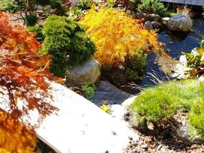 Immagine non classificata, 4 di 26, pulsante