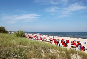 A beach with rows of red beach chairs and umbrellas, a sandy shore, and the ocean in the background. - Vacation apartment Schick - Holiday apartment Schick (Trassenheide)