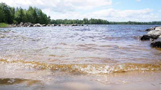 A river with clear water, surrounded by rocks and trees. - Stunning home in Hovmantorp with WiFi (Hovmantorp)