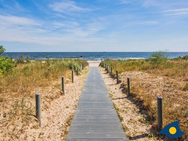 Nära stranden