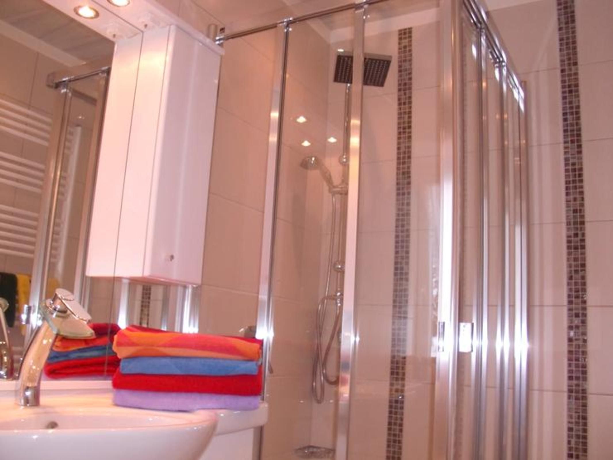 Shower, hair dryer, towels