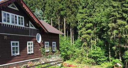 Berghütte mit Bademöglichkeit, Spielplatz und wunderschönem Blick auf die Wälder