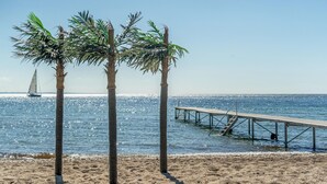 Una playa con palmeras, un muelle y un velero a lo lejos.