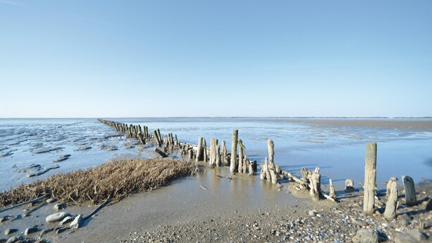Een strand met houten palen en kiezels.