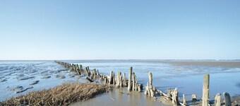 Rømøの2部屋の宿泊施設