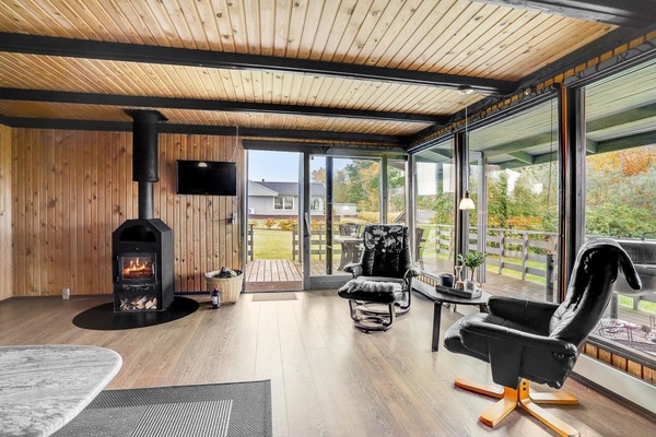 TV, fireplace, DVD player