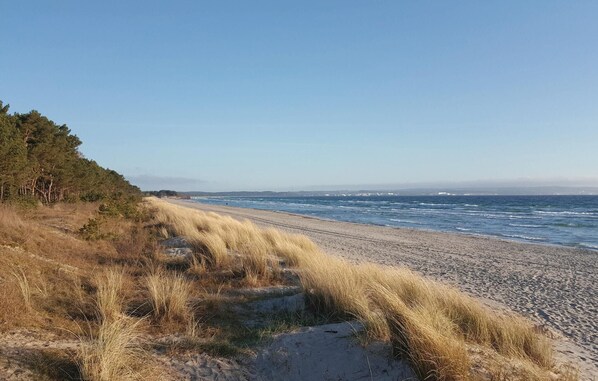 Am Strand, Angeln