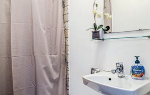 A bathroom with a white sink, a mirror, a shower curtain, and a small plant on a shelf.