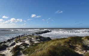 Plage à proximité