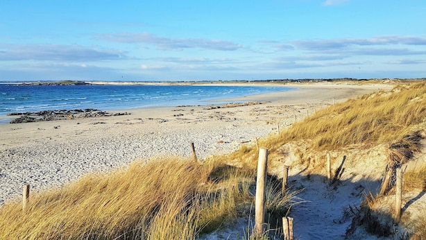 Ein Strand mit einem sandigen Pfad, der zum Wasser führt, umgeben von Dünen und blauem Himmel.