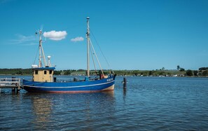 Imagem sem classificação, 2 de 16, botão