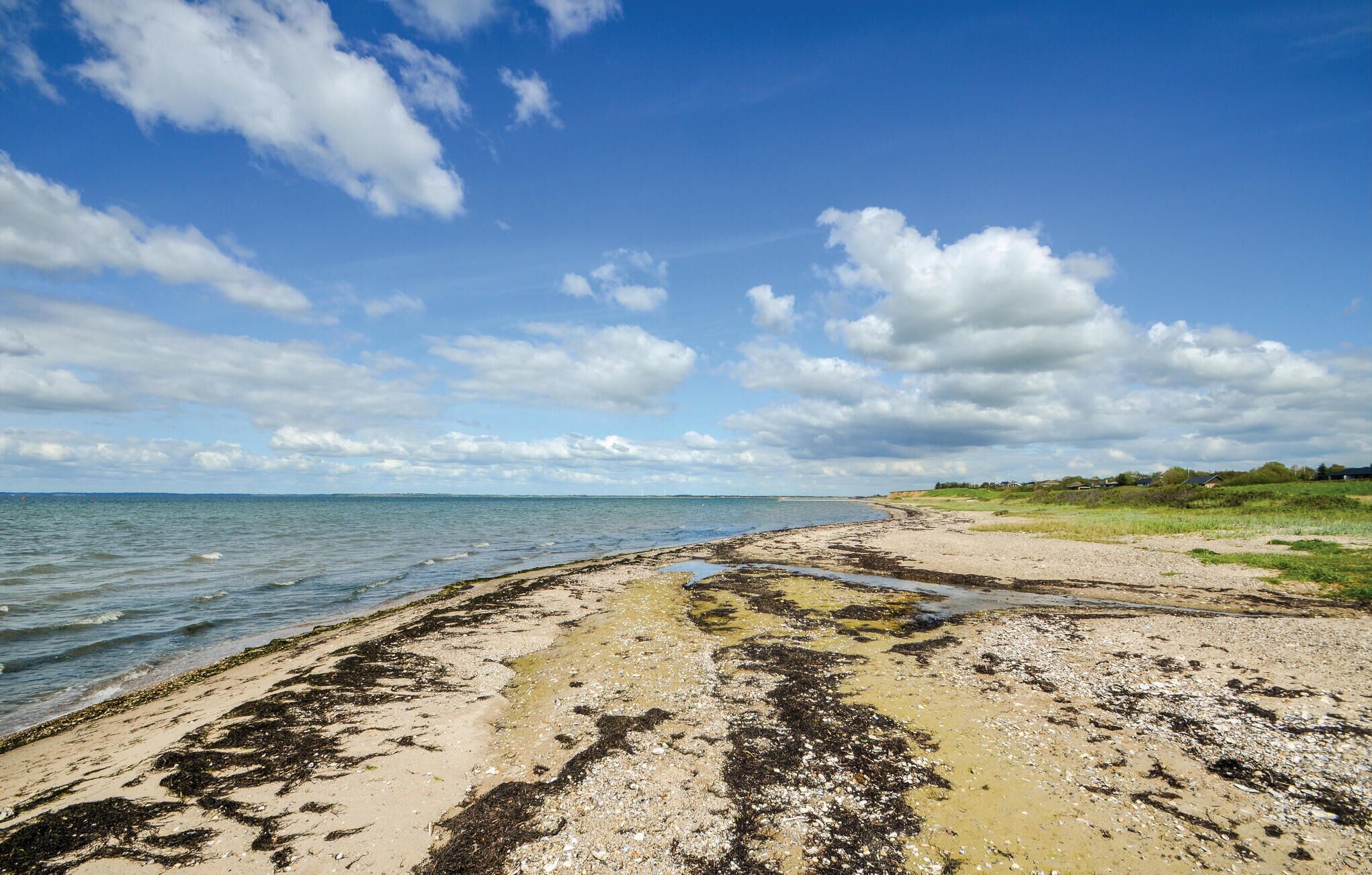Une plage avec un rivage sablonneux, des algues et un ciel dégagé.