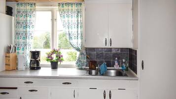 Fridge, stovetop, coffee/tea maker