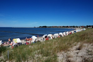 Una spiaggia nelle vicinanze
