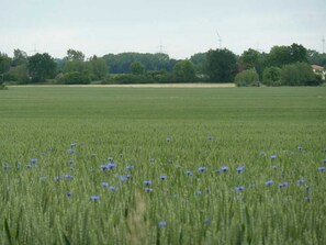 Photo non classée, 2 sur 21, bouton
