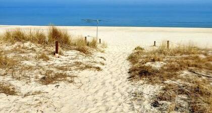 Hafenidyll 58, Alemania