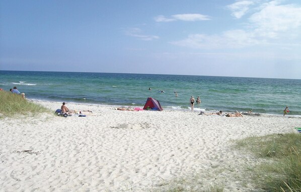 Beach nearby, fishing