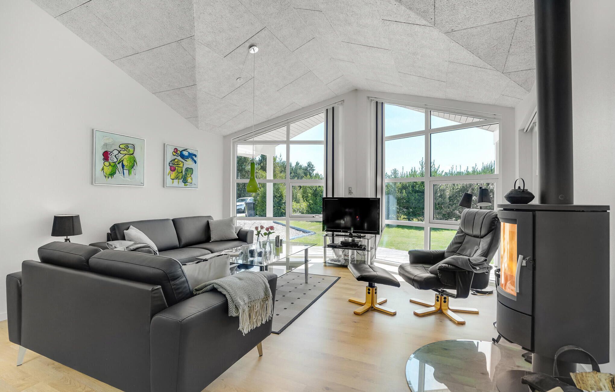 TV, fireplace, DVD player