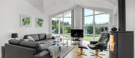 TV, fireplace, DVD player