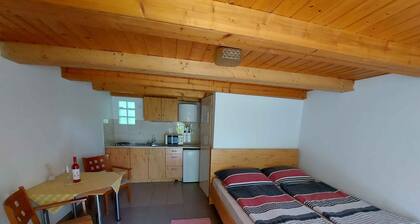 Studio with shady garden, washing machine and internet