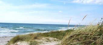 Hiddensee: Ferienwohnung Süderende - Lejlighed