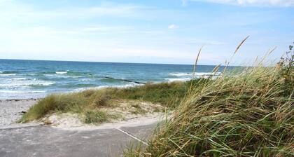 Hiddensee: Ferienwohnung Süderende - Ferienwohnung
