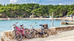 Una zona costera con bicicletas estacionadas cerca del agua, un litoral rocoso y un fondo de árboles y edificios.