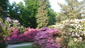 A garden with various shrubs and trees, a pathway, and a bench. - Haus Bernstein 3 - Apartment Bernstein 3 (Graal-Müritz)