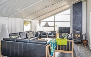 TV, fireplace, video-game console, DVD player