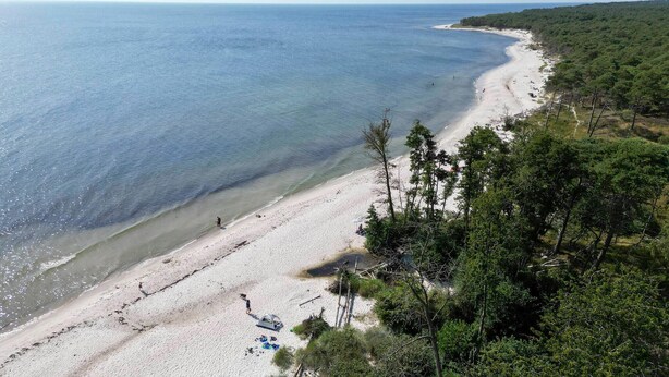En strand med klart vatten, en sandstrand och tät vegetation.