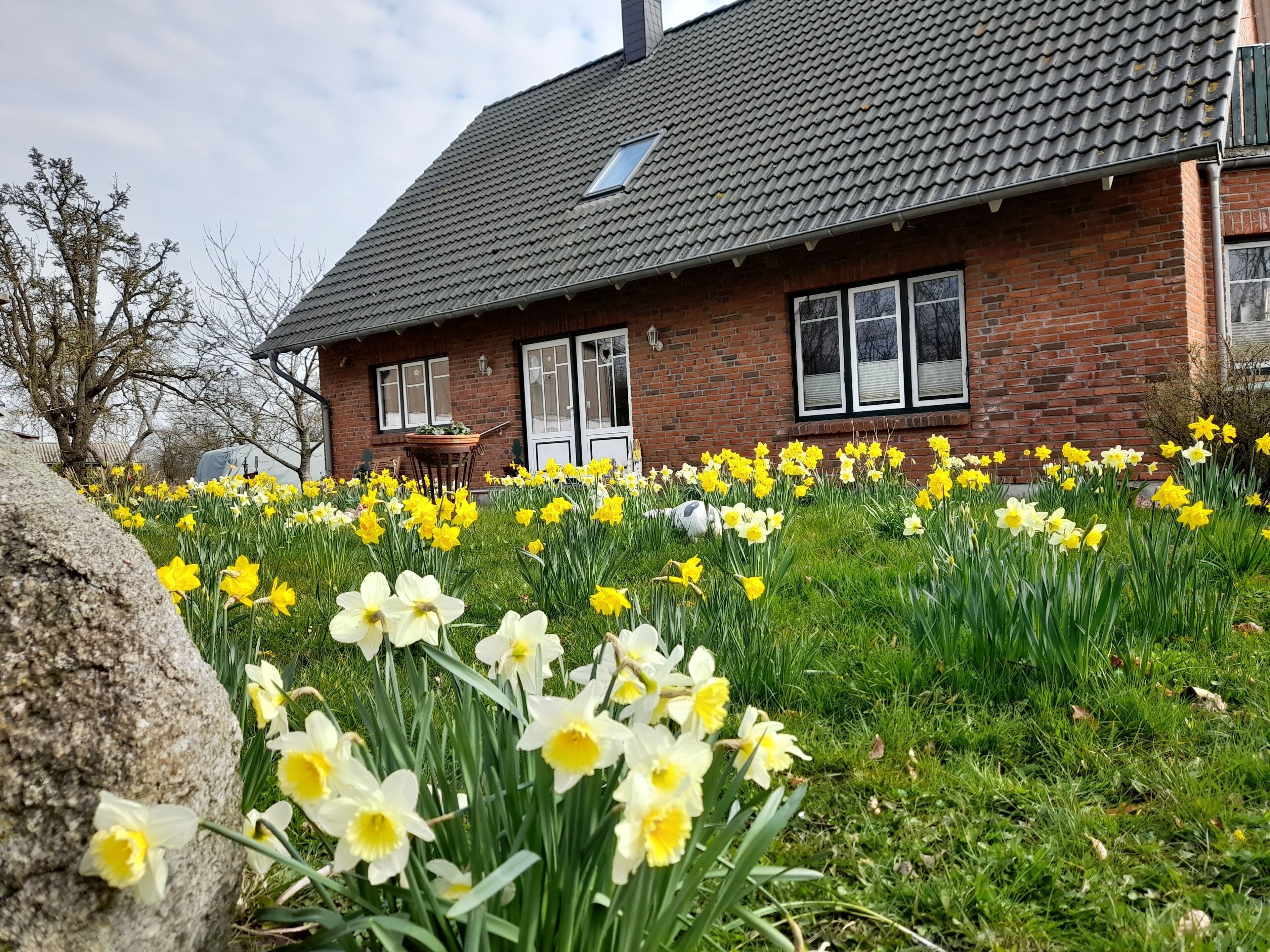 تفاصيل الفندق من الخارج