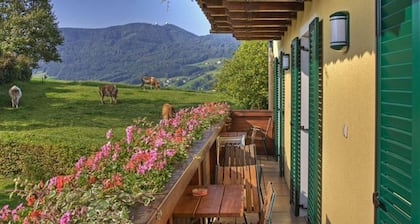 Appartement bon soleil du matin. 2 Stock - Pension Winter Am Irrsee 4 Ădelweiss