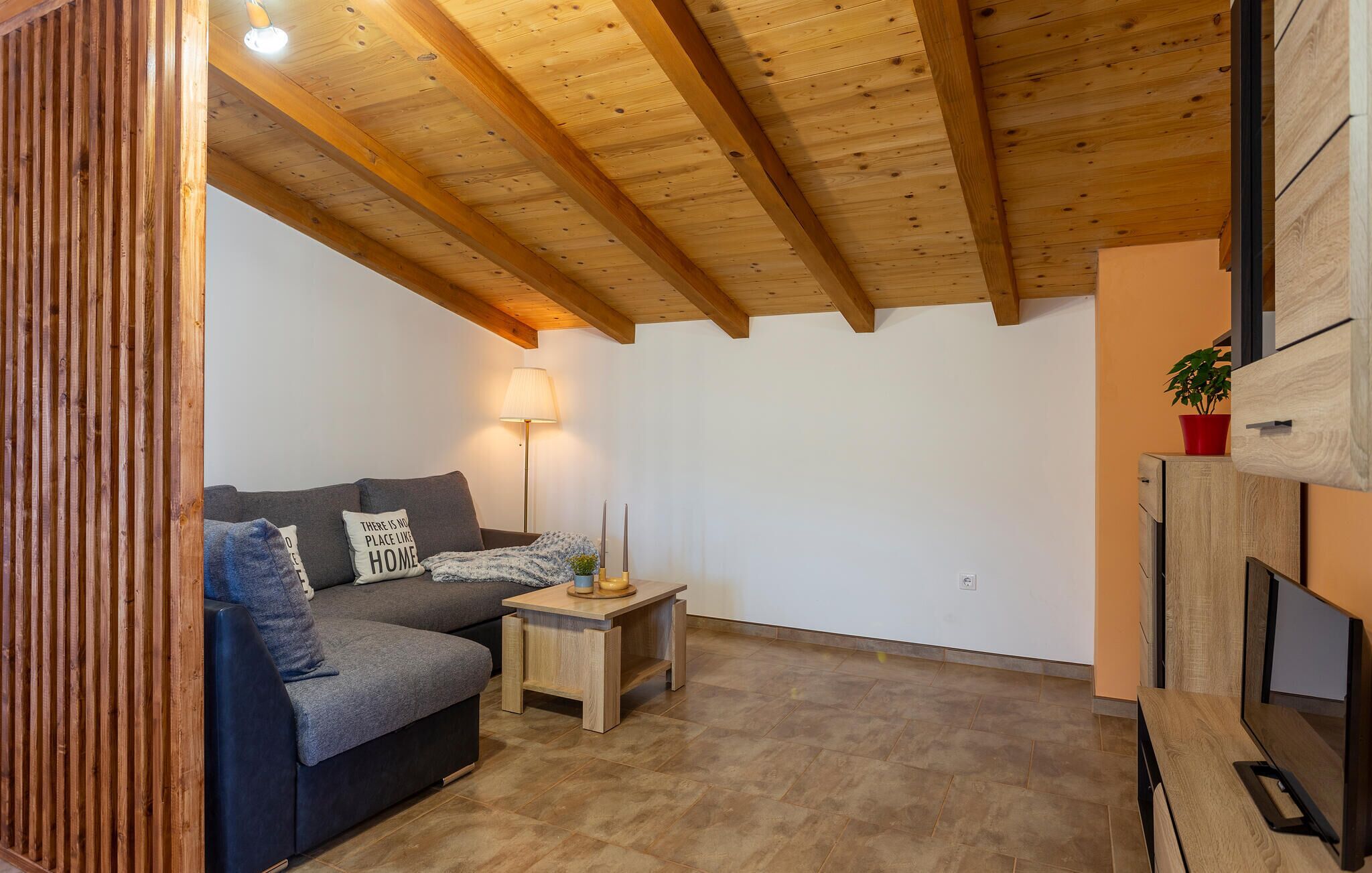 Un accogliente soggiorno con soffitto in legno, un divano grigio, un piccolo tavolino in legno, una lampada da terra e un mobile TV con una pianta.