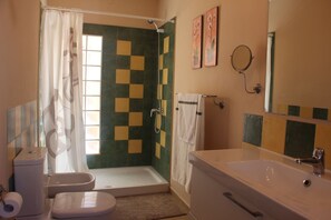 Shower, hair dryer, towels