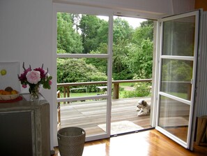 Immagine non classificata, 4 di 25, pulsante