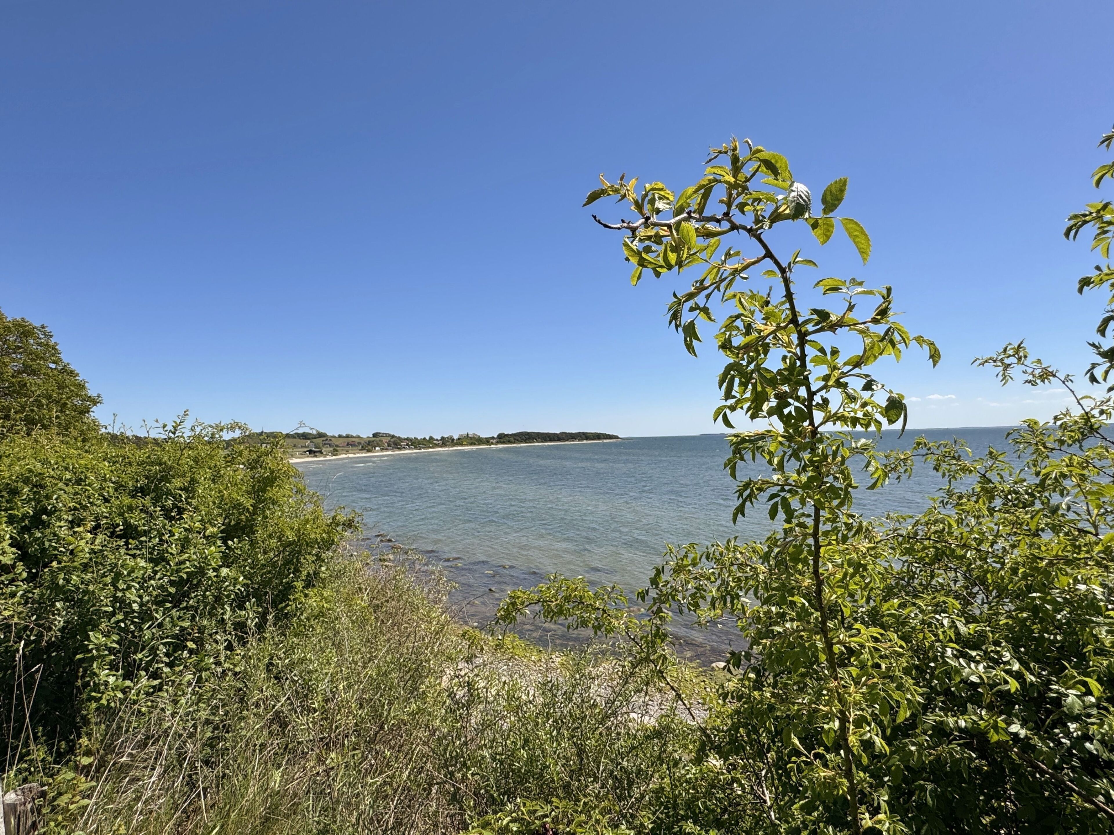 Tæt på stranden