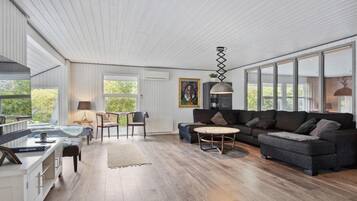 Tv, pejs, dvd-afspiller