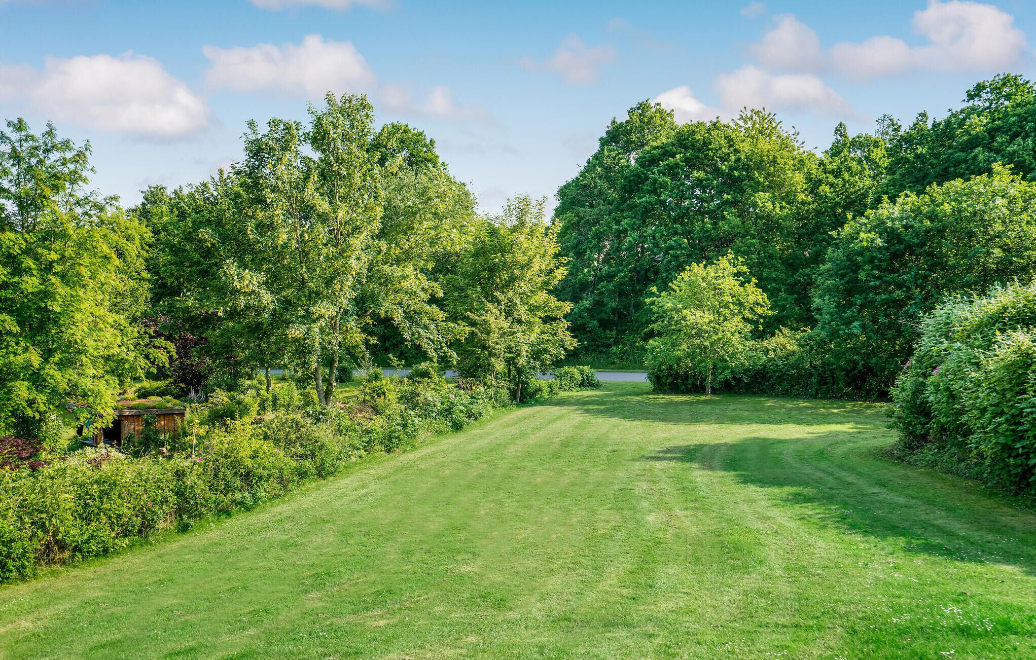 A well-maintained grassy area with dense trees and a clear sky.