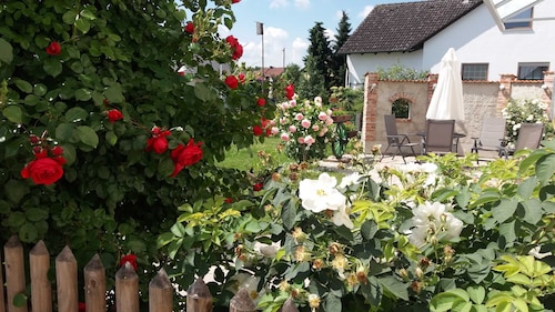 Apartment 1st floor - Weberhof