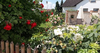 Apartment 1st floor - Weberhof