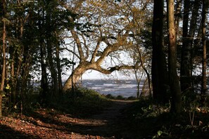 Billede uden beskrivelse, 4 af 21, knap