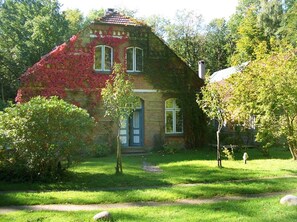 Immagine non classificata, 5 di 21, pulsante