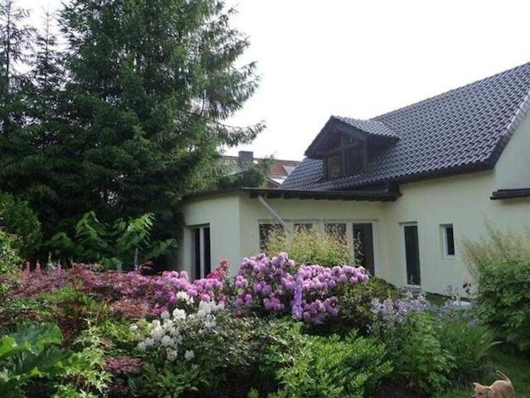 Esterni