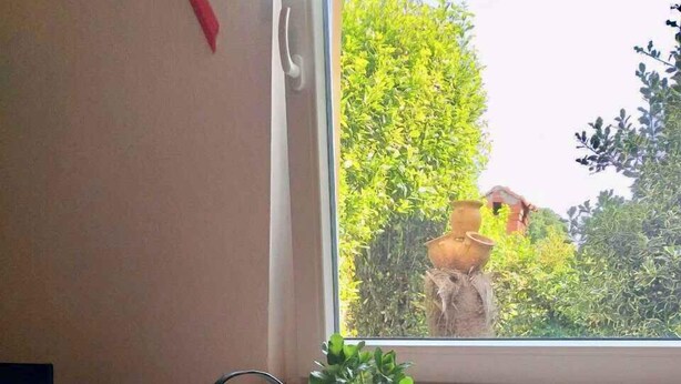 Ett matbord med en vinflaska, ett fat med jordgubbar och kiwi, en krukväxt och ett fönster med utsikt över grönska och ett hus.