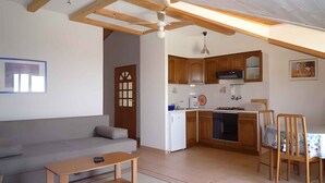 Un espace de vie compact comprenant un coin cuisine, un canapé, une table à manger avec des chaises et un ventilateur de plafond.